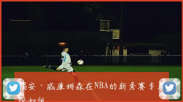 锡安·威廉姆森在NBA的新秀赛季表现如何