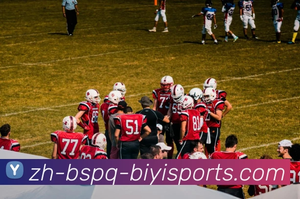 B体育平台生态图